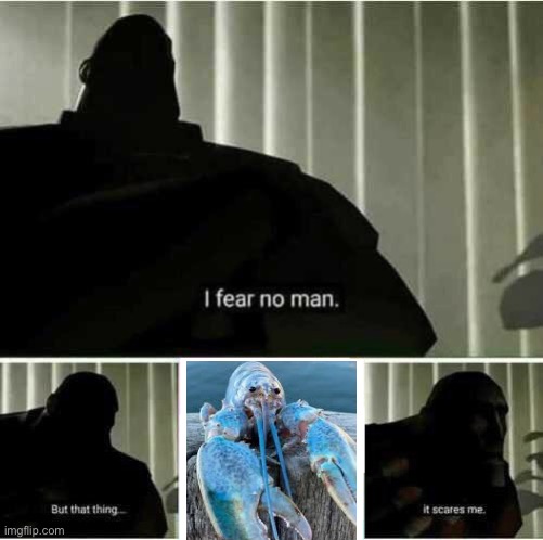 I fear no man | image tagged in i fear no man,memes,fun,lobster | made w/ Imgflip meme maker