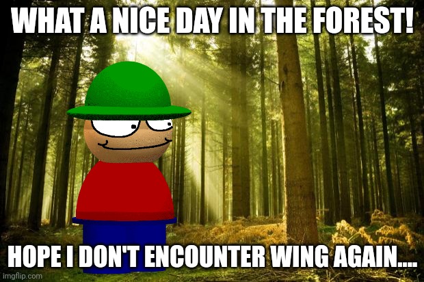 sunlit forest | WHAT A NICE DAY IN THE FOREST! HOPE I DON'T ENCOUNTER WING AGAIN.... | image tagged in sunlit forest | made w/ Imgflip meme maker