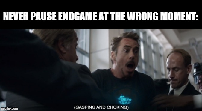 Whoops | NEVER PAUSE ENDGAME AT THE WRONG MOMENT: | image tagged in avengers endgame | made w/ Imgflip meme maker