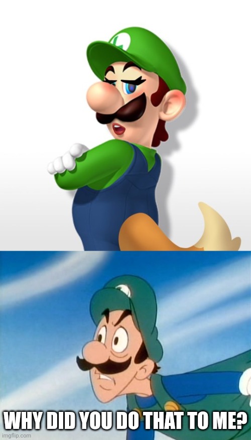 Cursed Luigi | WHY DID YOU DO THAT TO ME? | image tagged in why did you do that luigi,cursed,cursed image,luigi,memes,meme | made w/ Imgflip meme maker