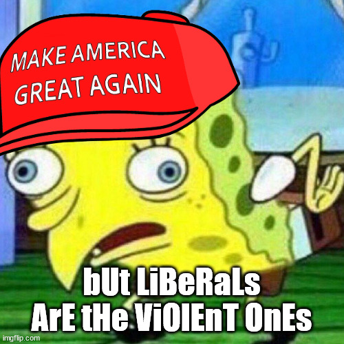 bUt LiBeRaLs ArE tHe ViOlEnT OnEs | made w/ Imgflip meme maker