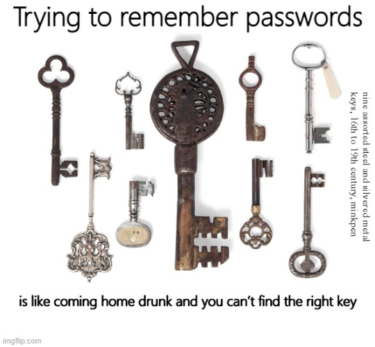 Passwords | image tagged in memory,key,door,websites,forgot,forgetful | made w/ Imgflip meme maker