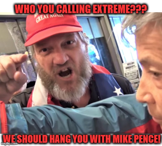 Angry Trump Supporter | WHO YOU CALLING EXTREME??? WE SHOULD HANG YOU WITH MIKE PENCE! | image tagged in angry trump supporter | made w/ Imgflip meme maker