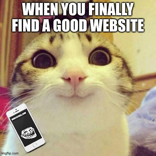 Finding websites be like | WHEN YOU FINALLY FIND A GOOD WEBSITE; HOWTOTROLL.COM | image tagged in memes,smiling cat | made w/ Imgflip meme maker