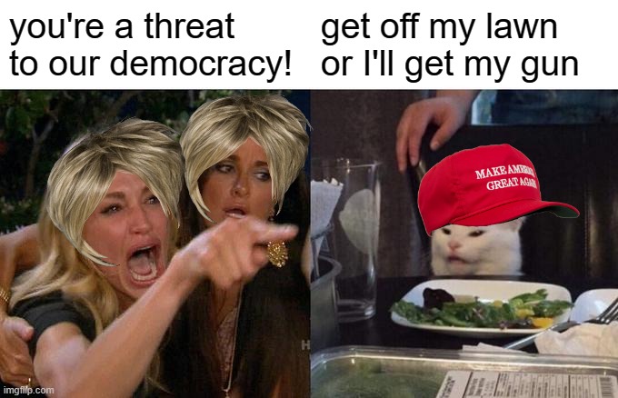 Woman Yelling At Cat | you're a threat to our democracy! get off my lawn or I'll get my gun | image tagged in memes,woman yelling at cat | made w/ Imgflip meme maker