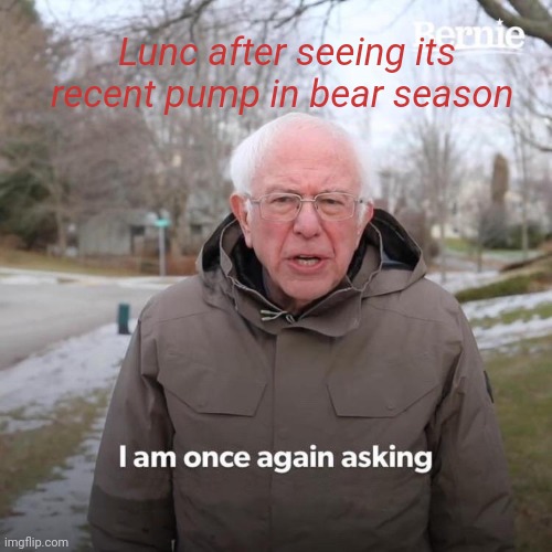 Tochi | Lunc after seeing its recent pump in bear season | image tagged in memes,bernie i am once again asking for your support | made w/ Imgflip meme maker