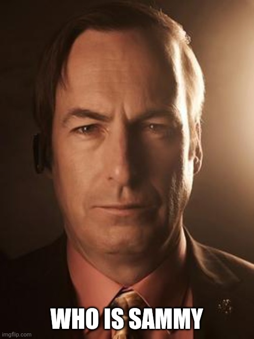 Saul Goddamn | WHO IS SAMMY | image tagged in saul goodman | made w/ Imgflip meme maker