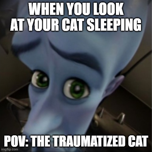 what does your cat sees | WHEN YOU LOOK AT YOUR CAT SLEEPING; POV: THE TRAUMATIZED CAT | image tagged in megamind peeking | made w/ Imgflip meme maker