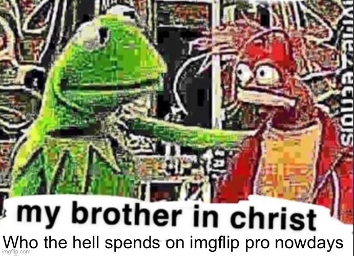 Who the hell spends on imgflip pro nowdays | made w/ Imgflip meme maker