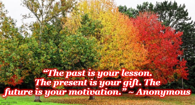 “The past is your lesson. The present is your gift. The future is your motivation.” ~ Anonymous | image tagged in trees,past,present,future,lesson | made w/ Imgflip meme maker