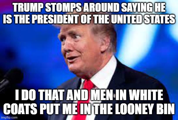 Looney Bin | TRUMP STOMPS AROUND SAYING HE IS THE PRESIDENT OF THE UNITED STATES; I DO THAT AND MEN IN WHITE COATS PUT ME IN THE LOONEY BIN | image tagged in donald trump | made w/ Imgflip meme maker