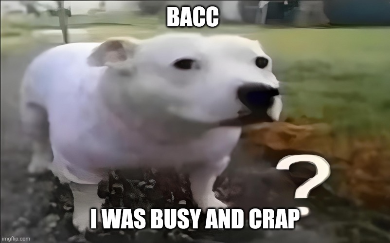 Huh Dog | BACC; I WAS BUSY AND CRAP | image tagged in huh dog | made w/ Imgflip meme maker