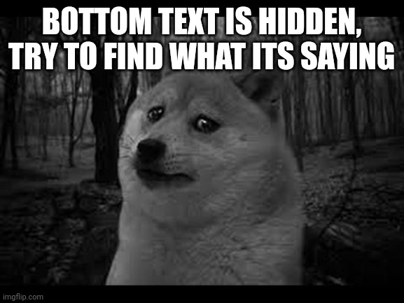 Very sad doge | BOTTOM TEXT IS HIDDEN, TRY TO FIND WHAT ITS SAYING | image tagged in very sad doge | made w/ Imgflip meme maker