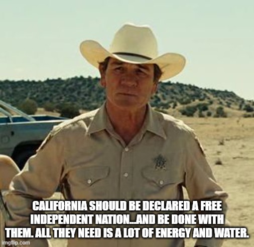 Tommy Lee Jones, No Country.. | CALIFORNIA SHOULD BE DECLARED A FREE INDEPENDENT NATION...AND BE DONE WITH THEM. ALL THEY NEED IS A LOT OF ENERGY AND WATER. | image tagged in tommy lee jones no country | made w/ Imgflip meme maker