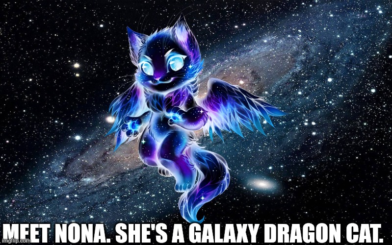 Idk I have no inspiration | MEET NONA. SHE'S A GALAXY DRAGON CAT. | image tagged in galaxy,dragon,cat | made w/ Imgflip meme maker