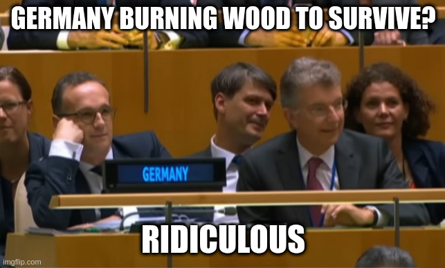 Laughing Smug Germans | GERMANY BURNING WOOD TO SURVIVE? RIDICULOUS | image tagged in laughing germans,trump,un,winter is coming,europe winter,burning wood | made w/ Imgflip meme maker