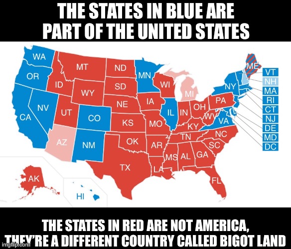2016 Election map  | THE STATES IN BLUE ARE PART OF THE UNITED STATES; THE STATES IN RED ARE NOT AMERICA, THEY’RE A DIFFERENT COUNTRY CALLED BIGOT LAND | image tagged in bigots,maga,donald trump is an idiot | made w/ Imgflip meme maker