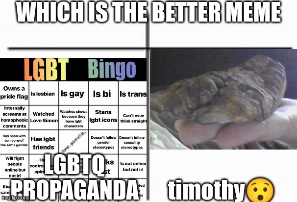 this is satire, mods | WHICH IS THE BETTER MEME; LGBTQ PROPAGANDA; timothy😯 | made w/ Imgflip meme maker