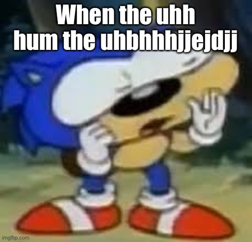 sonic huh? | When the uhh hum the uhbhhhjjejdjj | image tagged in sonic huh | made w/ Imgflip meme maker