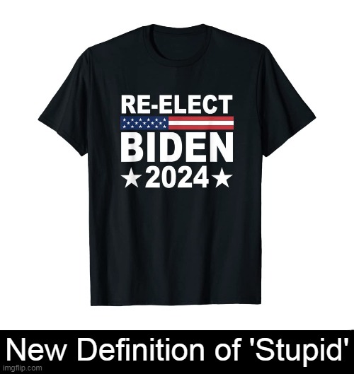 The T-Shirt That Defines Stupidity & Defies Rational Thought | New Definition of 'Stupid' | image tagged in politics,joe biden,puppet,dementia,wrecking ball,special kind of stupid | made w/ Imgflip meme maker
