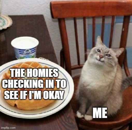:) |  THE HOMIES CHECKING IN TO SEE IF I'M OKAY; ME | image tagged in cat likes their waffle | made w/ Imgflip meme maker