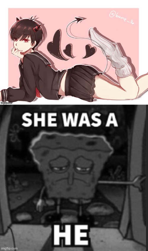image tagged in she was a he | made w/ Imgflip meme maker