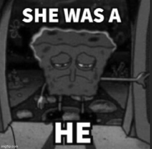 She was a he | image tagged in she was a he | made w/ Imgflip meme maker