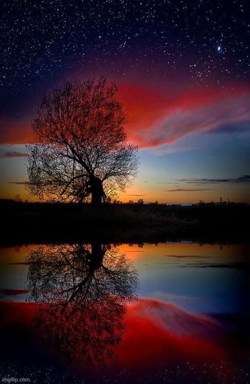 image tagged in awesome | made w/ Imgflip meme maker