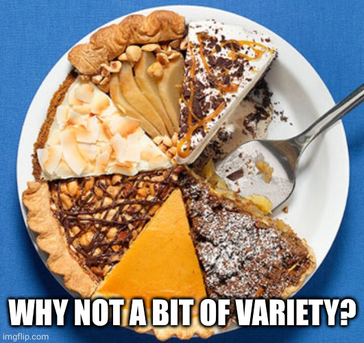 Pie variety | WHY NOT A BIT OF VARIETY? | image tagged in pie variety | made w/ Imgflip meme maker