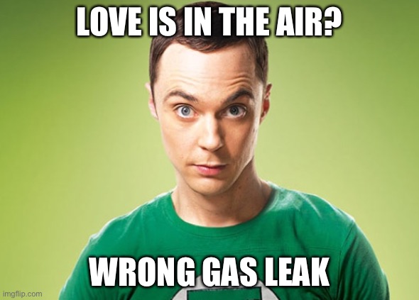 Love is in the air? | LOVE IS IN THE AIR? WRONG GAS LEAK | image tagged in sheldon cooper,gas leak,memes | made w/ Imgflip meme maker
