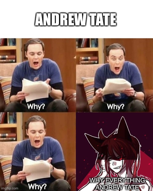 Why? | ANDREW TATE; WHY EVERYTHING ANDREW TATE | image tagged in sheldon why,memes,andrew tate | made w/ Imgflip meme maker