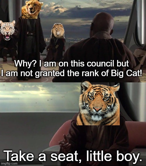 Poor cheetah | Why? I am on this council but I am not granted the rank of Big Cat! Take a seat, little boy. | image tagged in take a seat young skywalker | made w/ Imgflip meme maker