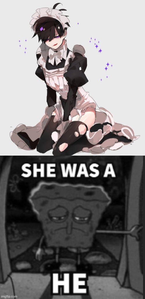 image tagged in she was a he | made w/ Imgflip meme maker