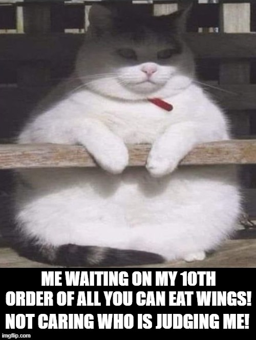 Don't judge me! | ME WAITING ON MY 10TH ORDER OF ALL YOU CAN EAT WINGS! NOT CARING WHO IS JUDGING ME! | image tagged in cat | made w/ Imgflip meme maker