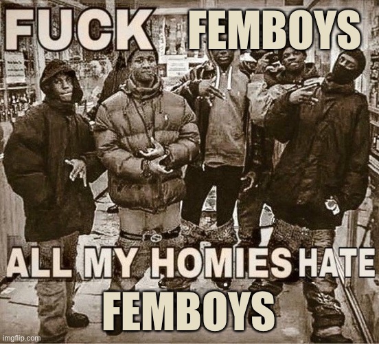 All My Homies Hate | FEMBOYS; FEMBOYS | image tagged in all my homies hate | made w/ Imgflip meme maker