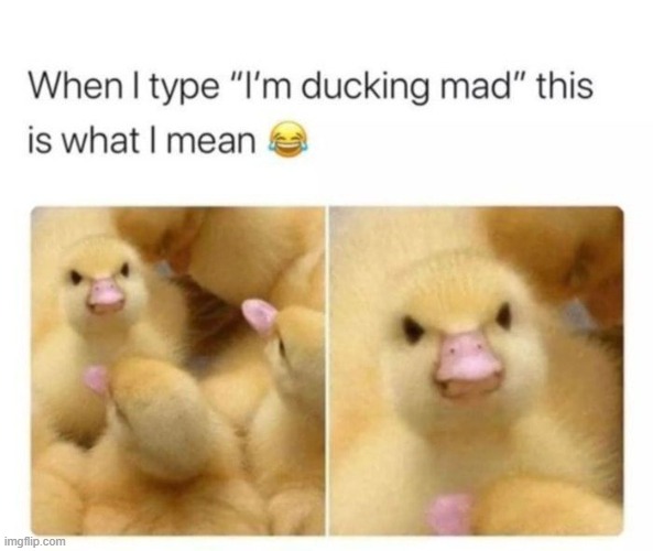image tagged in repost | made w/ Imgflip meme maker