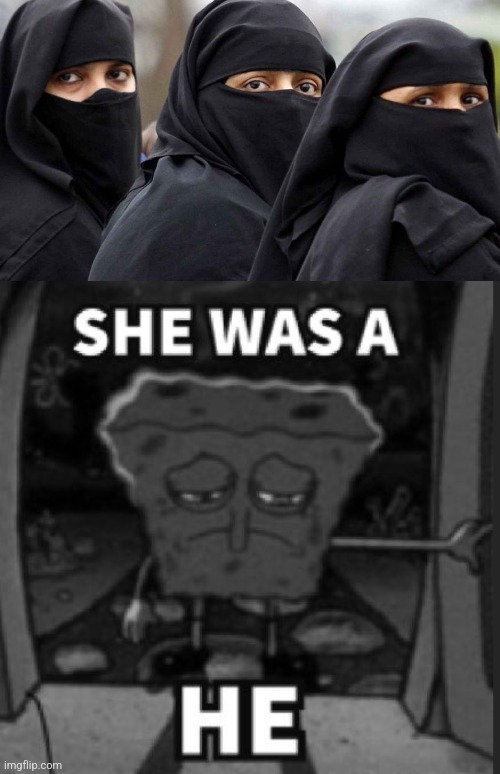 image tagged in she was a he | made w/ Imgflip meme maker