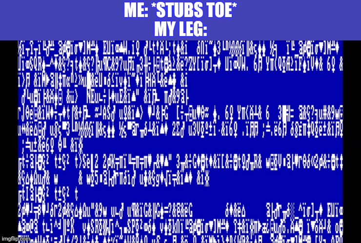 Windows 1.0 BSOD | ME: *STUBS TOE*
MY LEG: | image tagged in windows 1 0 bsod | made w/ Imgflip meme maker