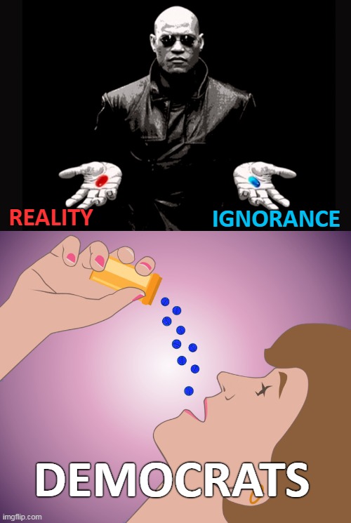 Swallowing them by the handful... | IGNORANCE; REALITY; DEMOCRATS | image tagged in matrix,red pill,blue pill,democrats | made w/ Imgflip meme maker