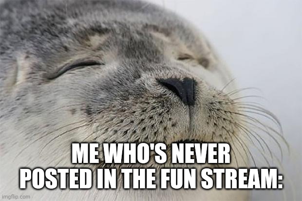 Satisfied Seal Meme | ME WHO'S NEVER POSTED IN THE FUN STREAM: | image tagged in memes,satisfied seal | made w/ Imgflip meme maker
