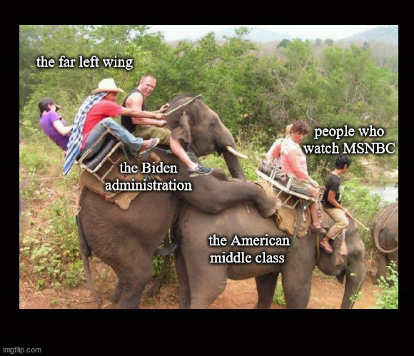 build back better; a picture worth a thousand words | the far left wing; people who watch MSNBC; the Biden administration; the American
middle class | image tagged in build back better,biden | made w/ Imgflip meme maker