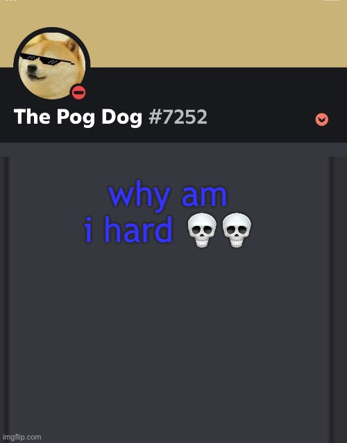 epic doggos epic discord temp | why am i hard 💀💀 | image tagged in epic doggos epic discord temp | made w/ Imgflip meme maker