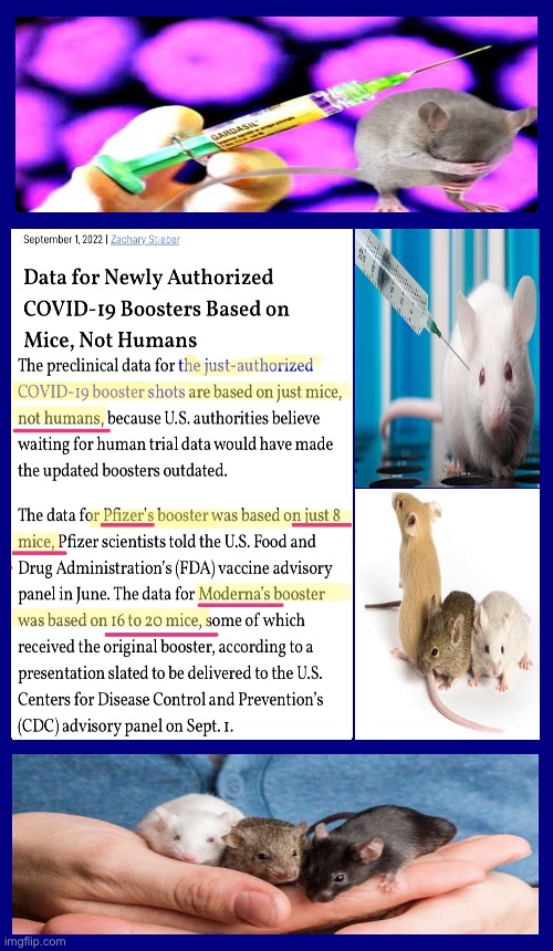 Don’t Worry — We tested it on 8 Mice | image tagged in memes,vaccines,covid convax,largest experiment in history,you are making history,test dummy | made w/ Imgflip meme maker