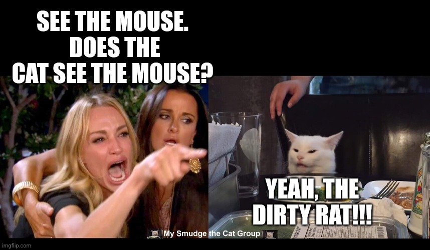 SEE THE MOUSE.  DOES THE CAT SEE THE MOUSE? YEAH, THE DIRTY RAT!!! | image tagged in smudge the cat | made w/ Imgflip meme maker