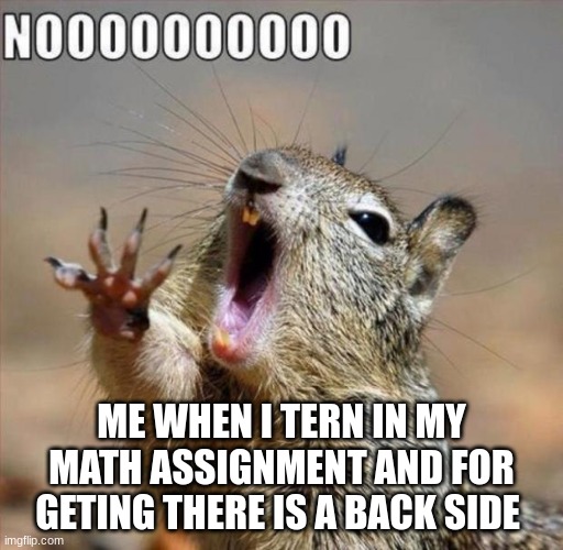 noooooooooooooooooooooooo | ME WHEN I TERN IN MY MATH ASSIGNMENT AND FOR GETING THERE IS A BACK SIDE | image tagged in noooooooooooooooooooooooo | made w/ Imgflip meme maker