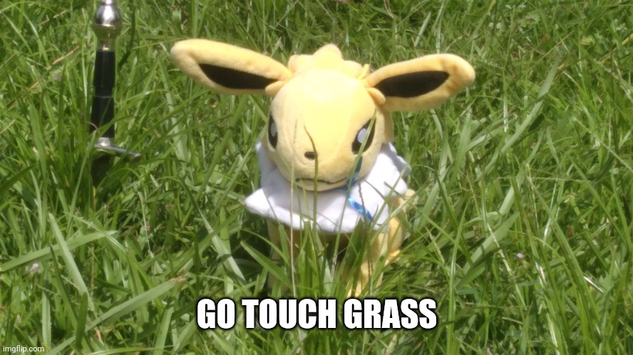 GO TOUCH GRASS | image tagged in pokemon,memes,grass | made w/ Imgflip meme maker