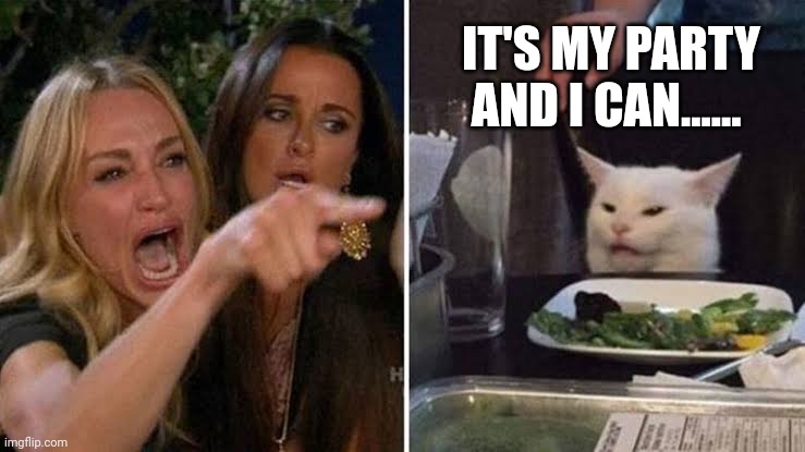 It's my party and I can cry if I want to | IT'S MY PARTY AND I CAN...... | image tagged in funny cats | made w/ Imgflip meme maker