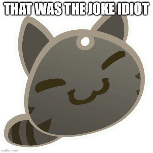 Tabby slime | THAT WAS THE JOKE IDIOT | image tagged in tabby slime | made w/ Imgflip meme maker
