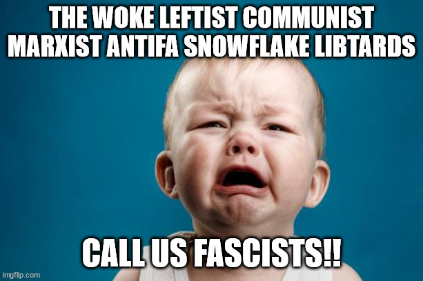 BABY CRYING | THE WOKE LEFTIST COMMUNIST MARXIST ANTIFA SNOWFLAKE LIBTARDS; CALL US FASCISTS!! | image tagged in baby crying | made w/ Imgflip meme maker