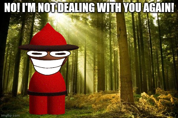 sunlit forest | NO! I'M NOT DEALING WITH YOU AGAIN! | image tagged in sunlit forest | made w/ Imgflip meme maker
